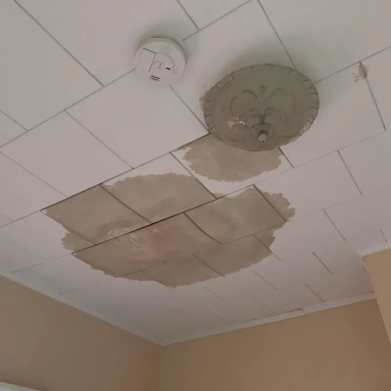 Ceiling Water Damage Repair in Abingdon, VA