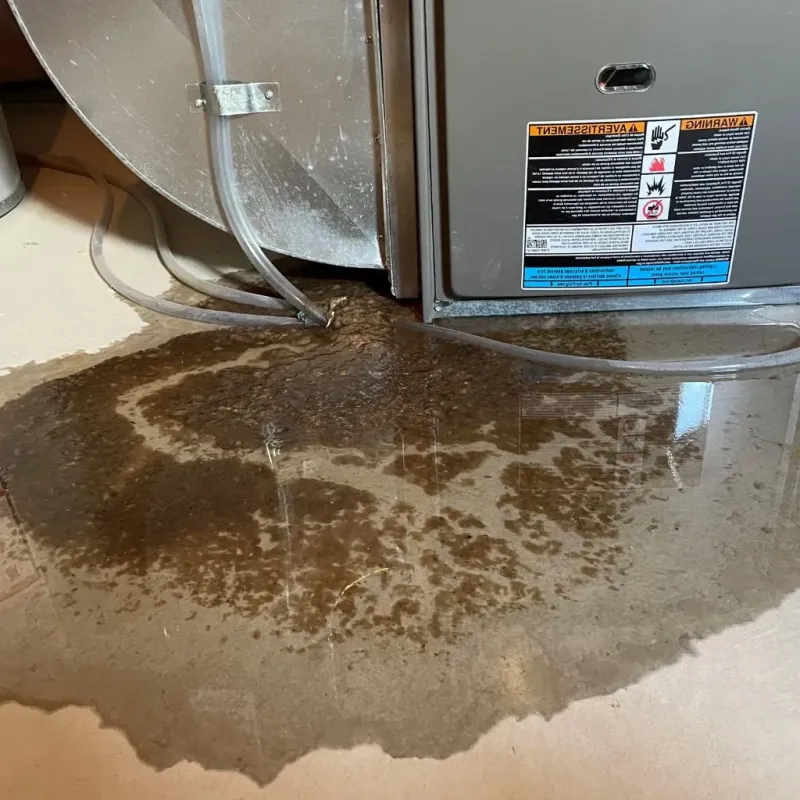 Pipe Burst and Leak Restoration in Abingdon, VA