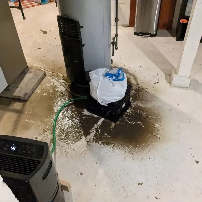 Sewage Backup Cleanup Service in Abingdon, VA